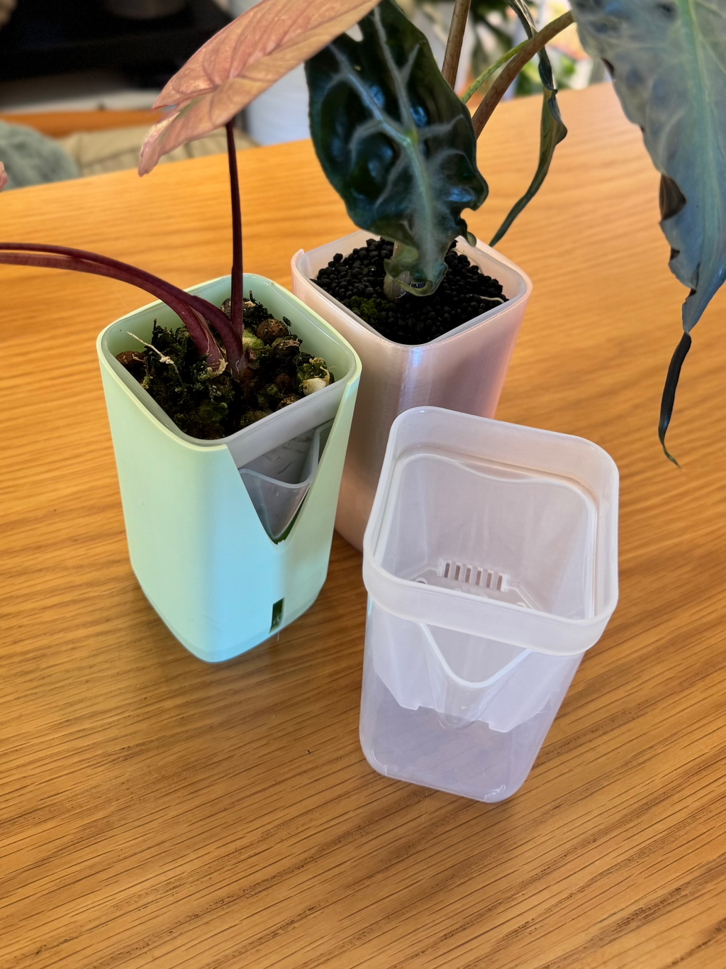 Nursery Pot Plant Sleeves