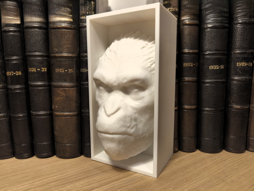 Planet of the Apes Book Nook