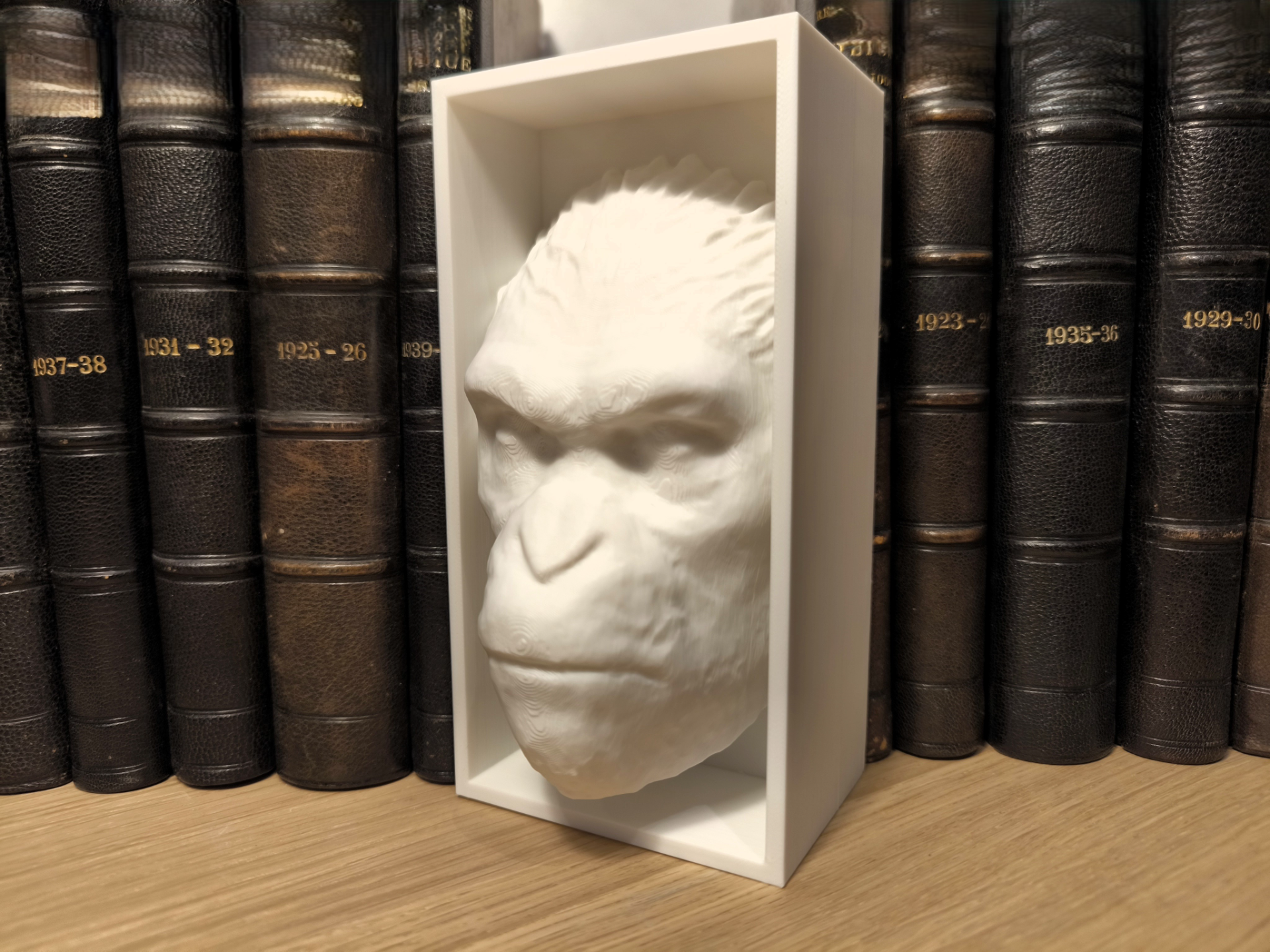 Planet of the Apes Book Nook