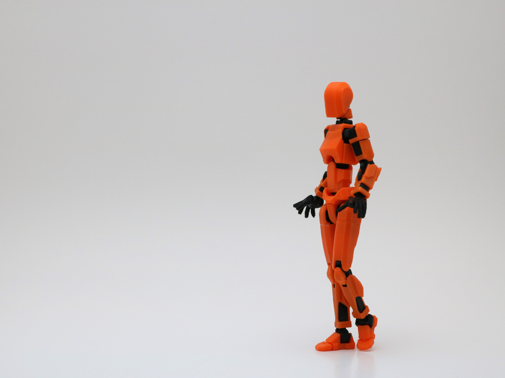 Dummy 13 - feminine torso