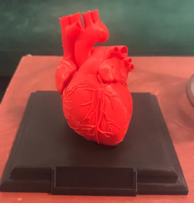 Heart