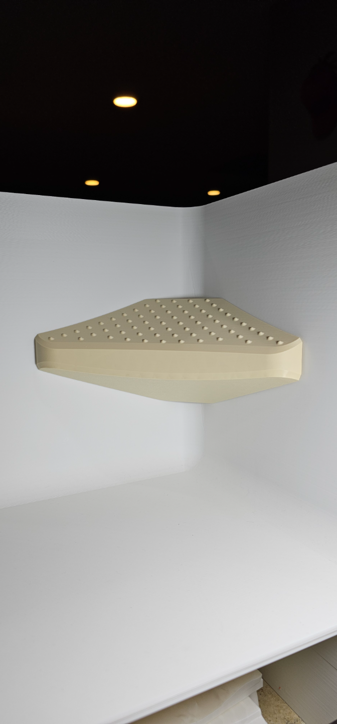 Shower Step Foot Rest