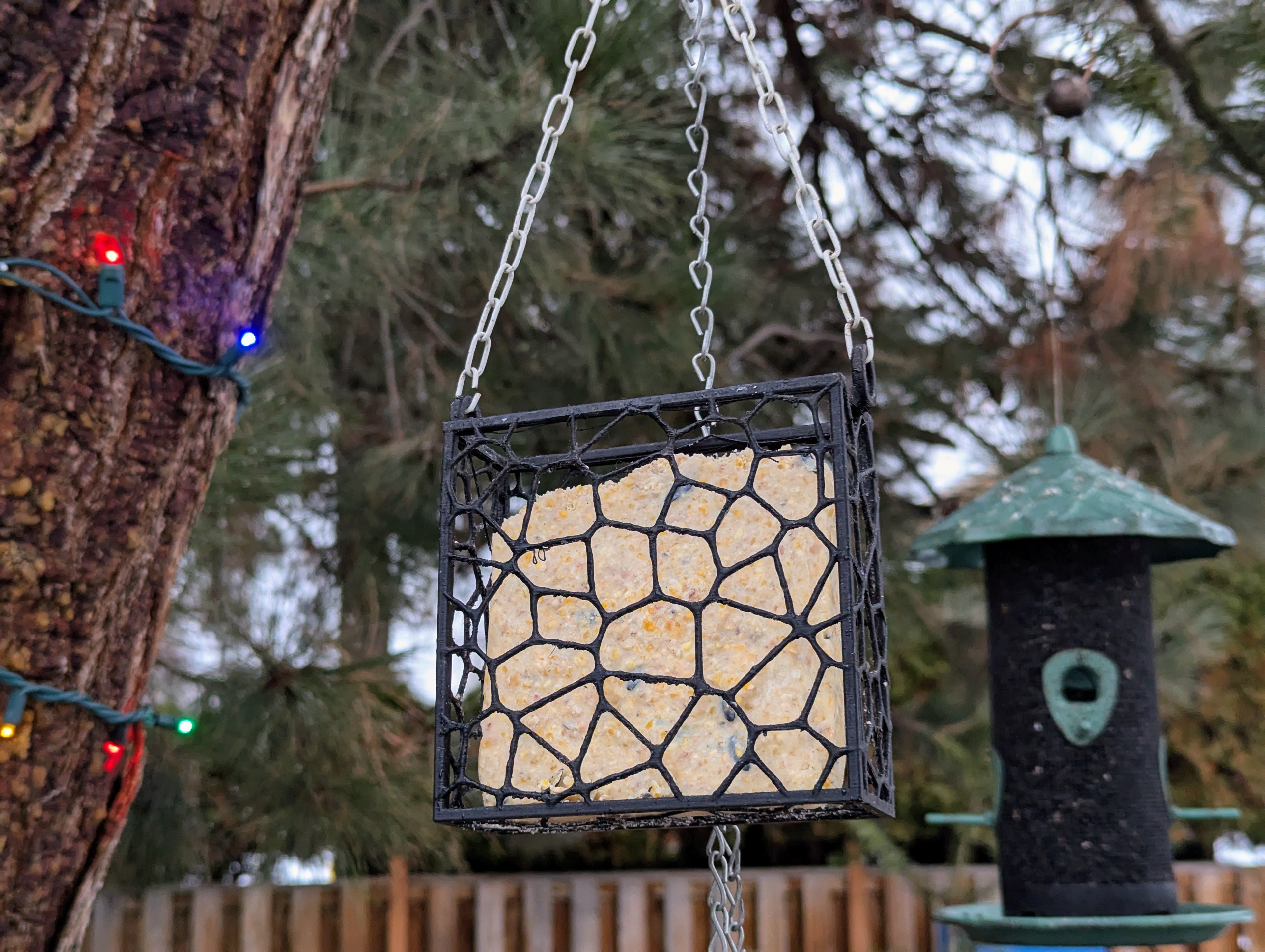 Voronoi Suet Bird Feeder