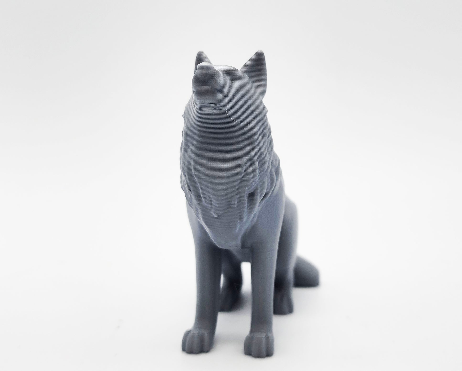 Seated Wolf