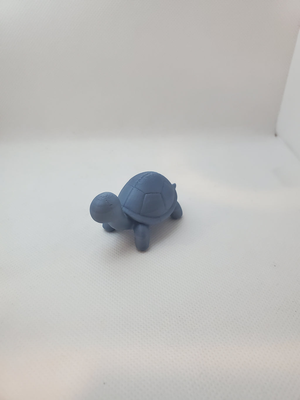 Cute Turtle