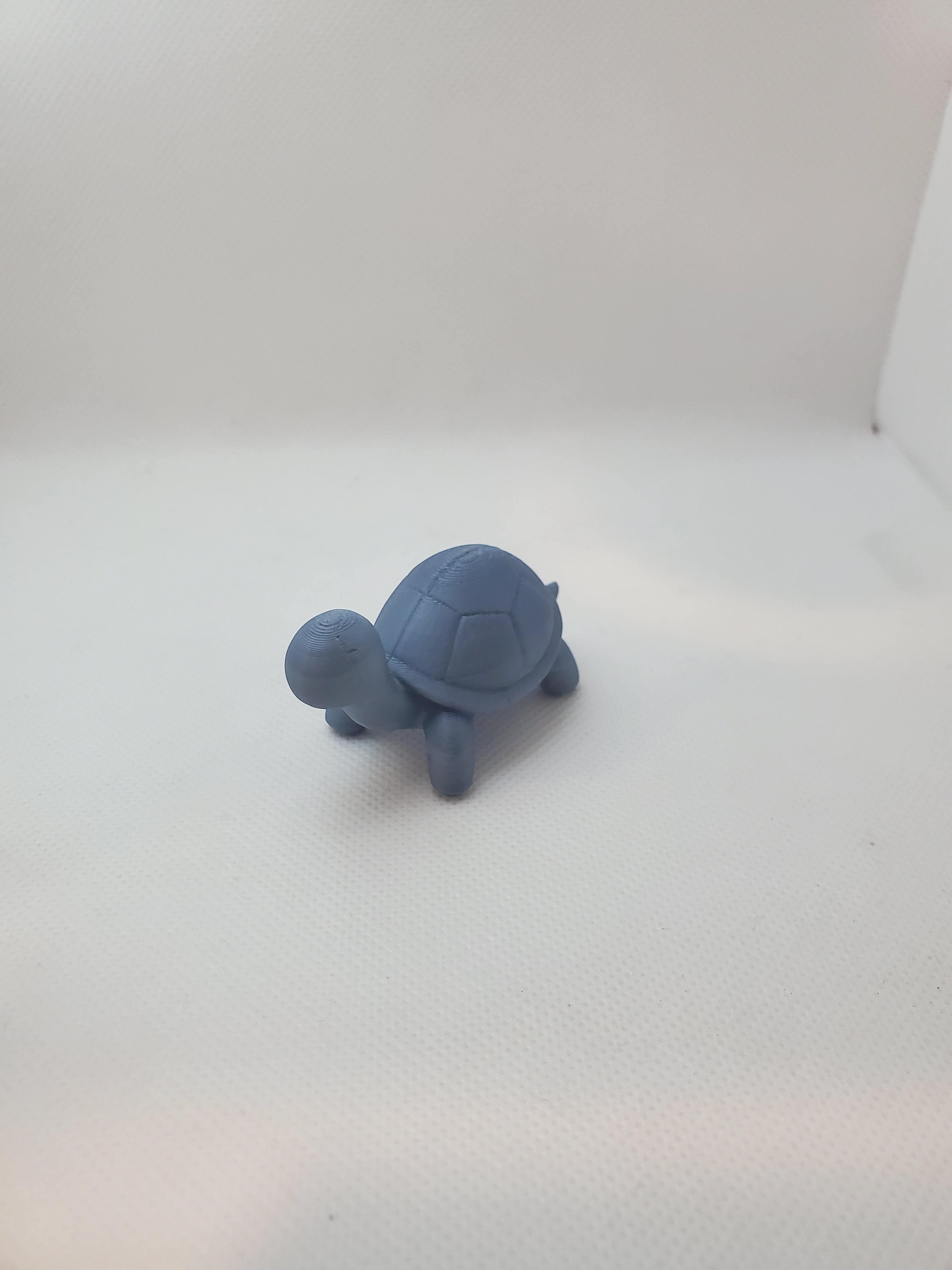 Cute Turtle