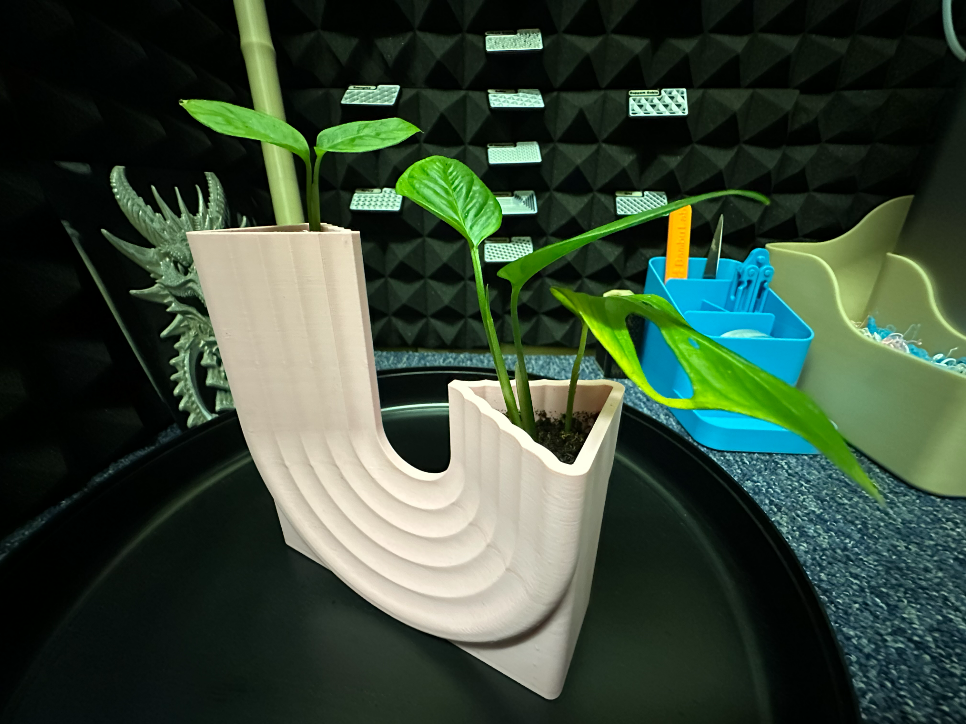 Vase (Drainage holes added for plant.)