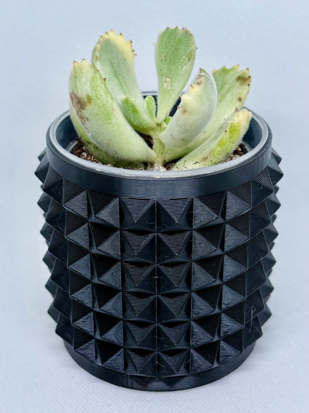 Spiky Planter