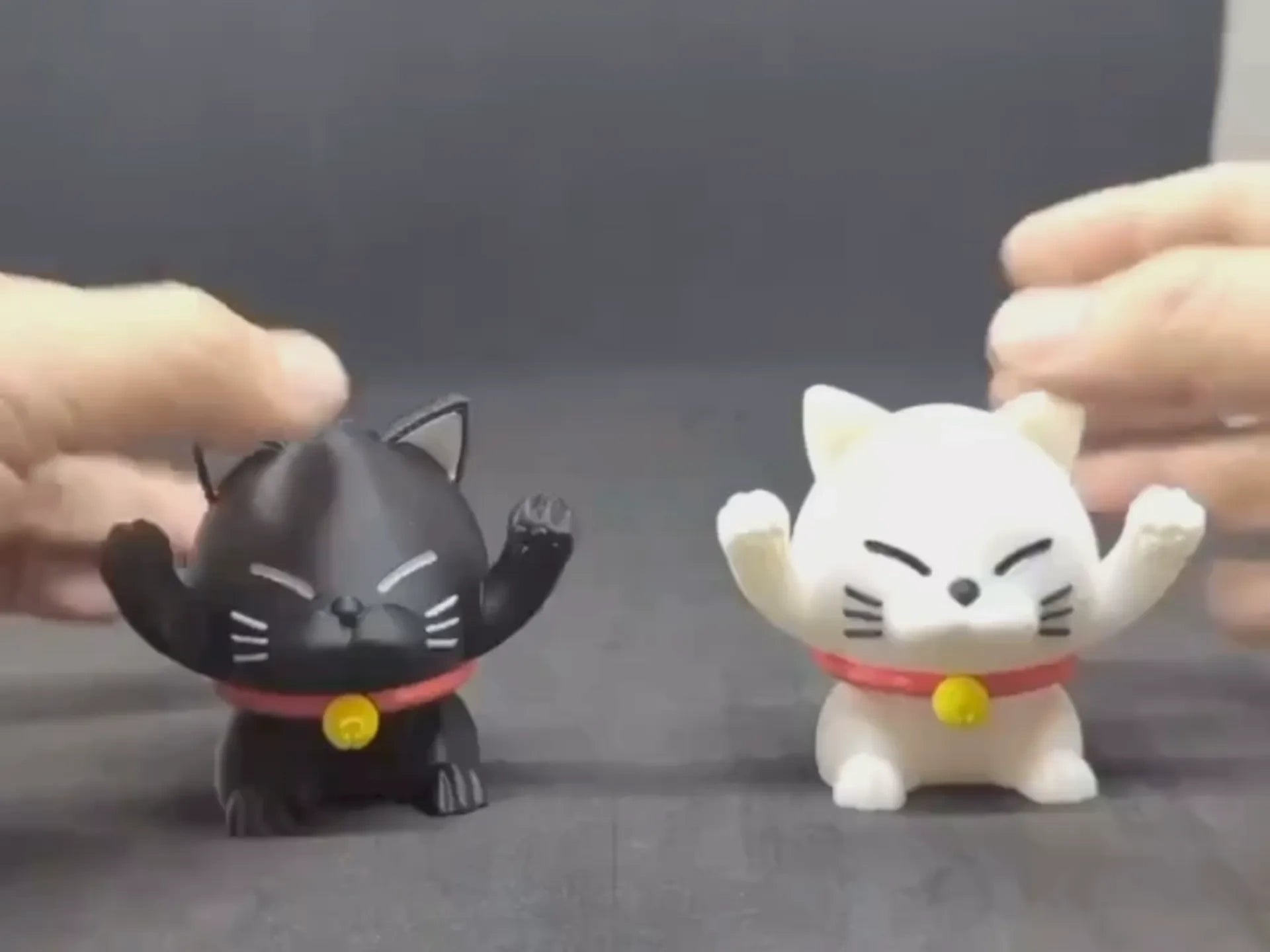 螺旋猫