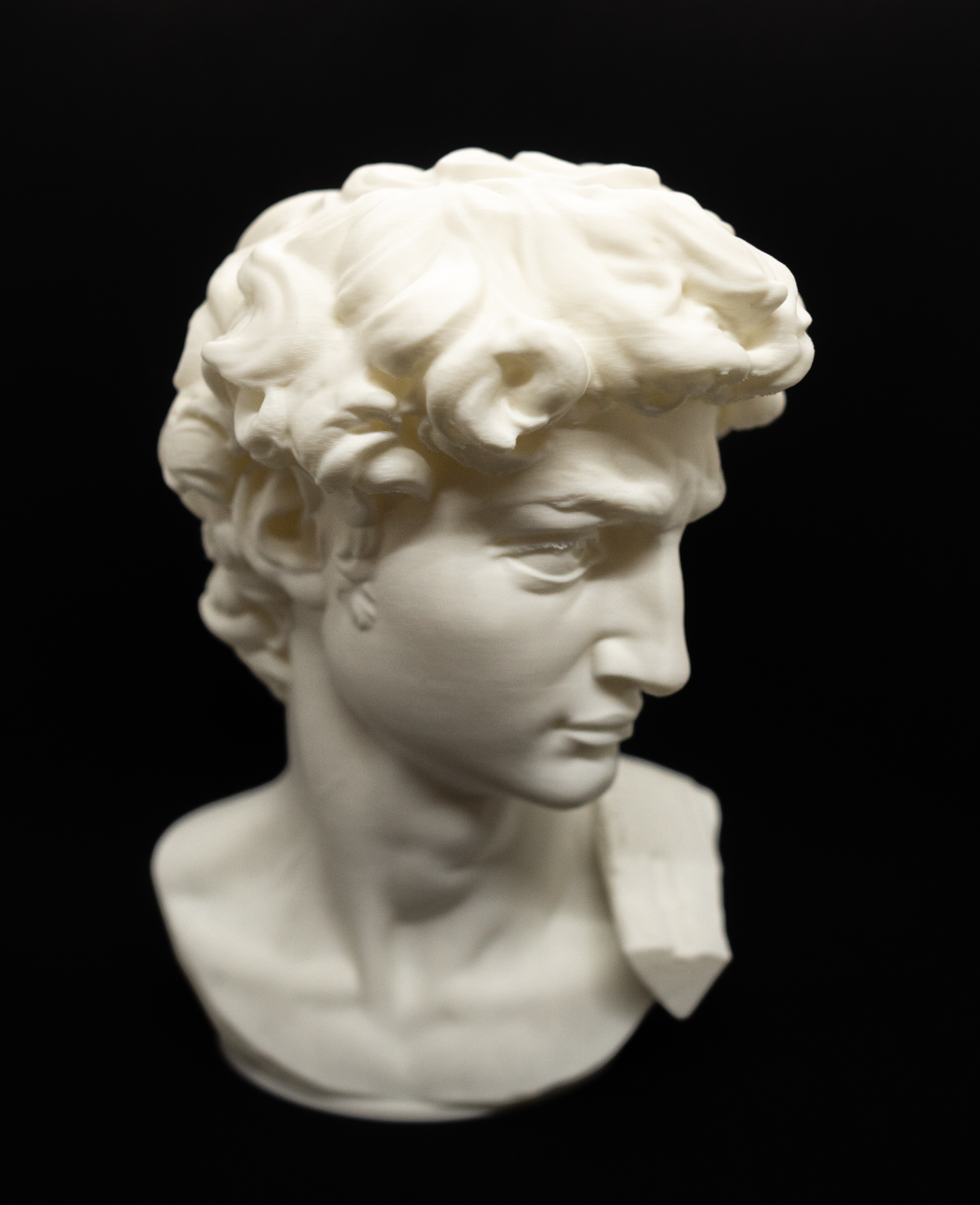 Head of Michelangelo's David