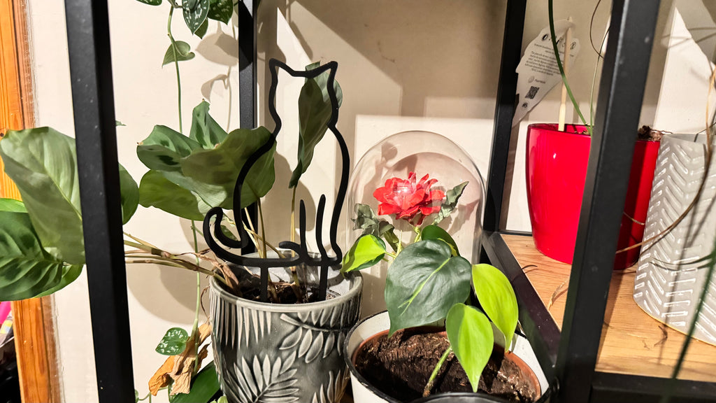 Plant trellis, support, Cat theme ver.2