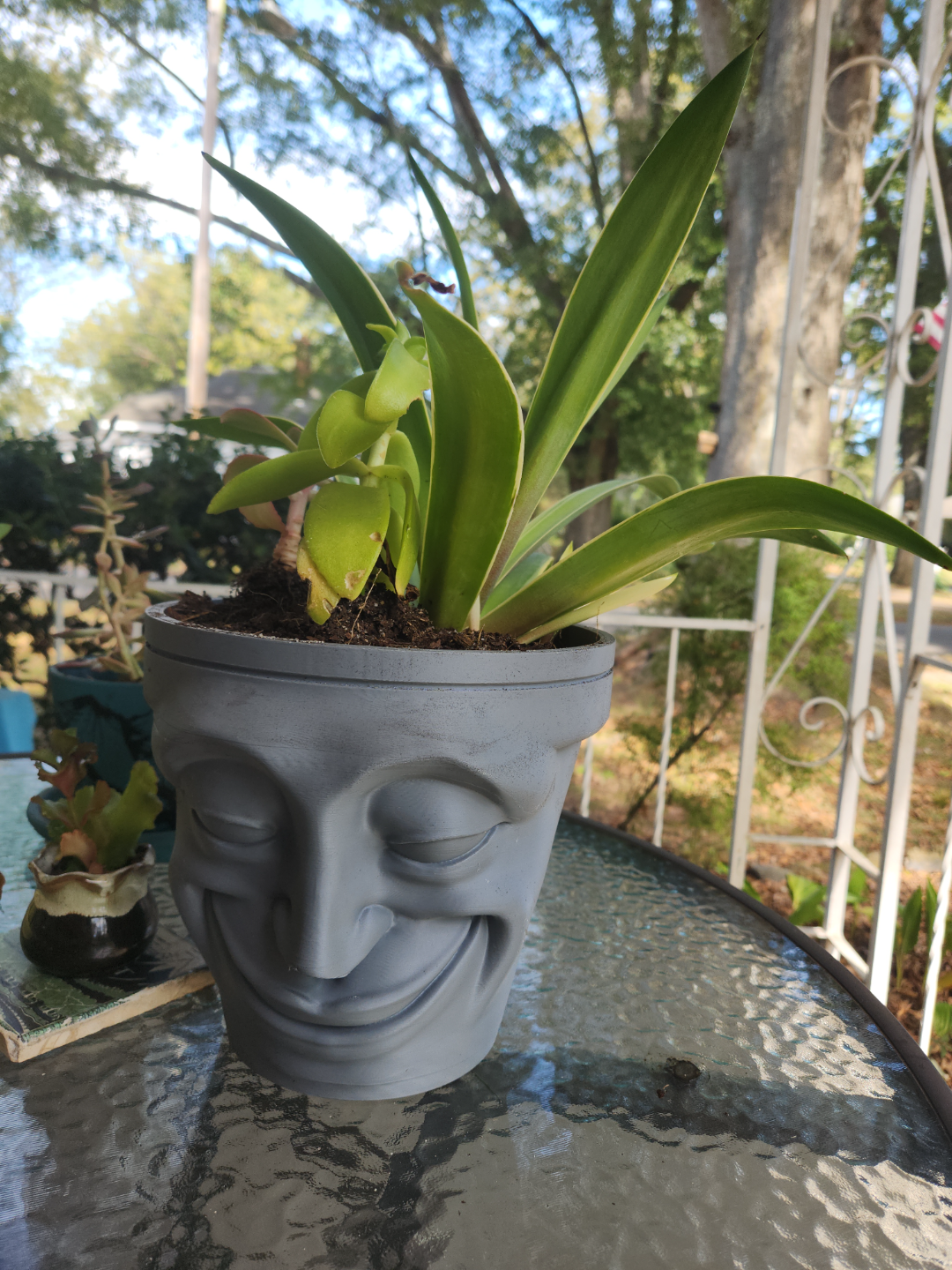 Smiling Face Pot