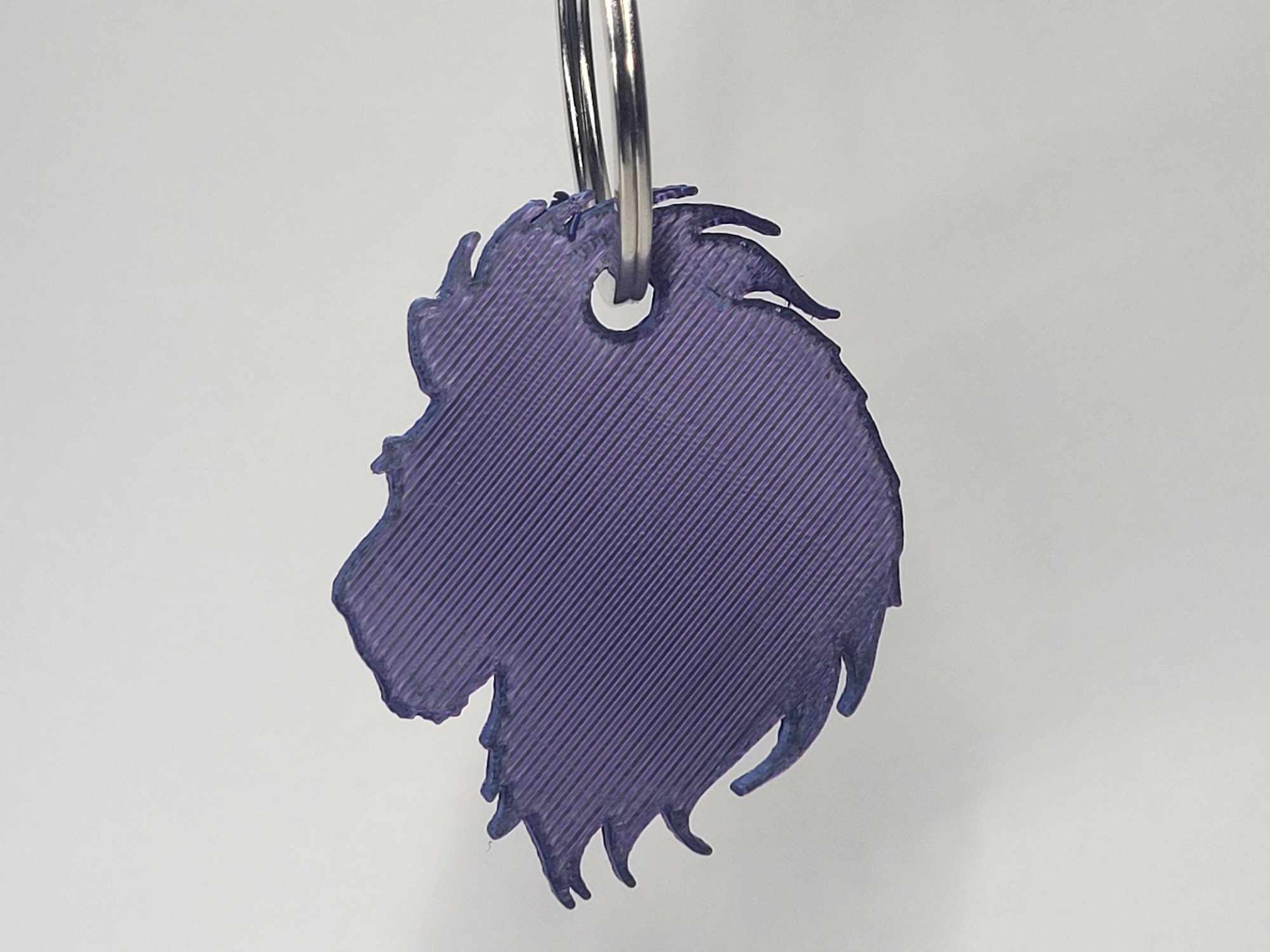 lion key chain
