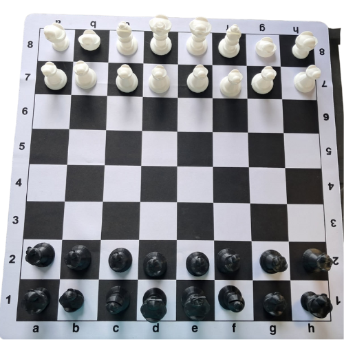 Duck Chess