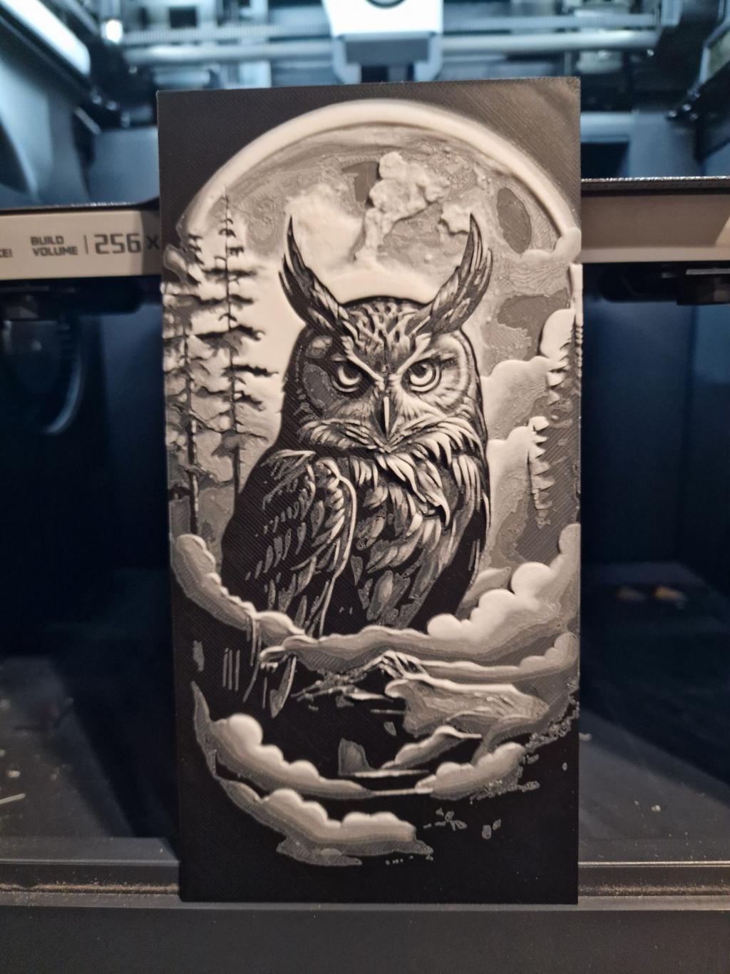 HUEFORGE - Owl in the Night Black and White