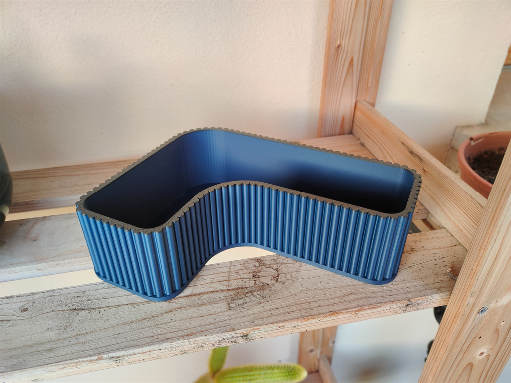 vase pianta