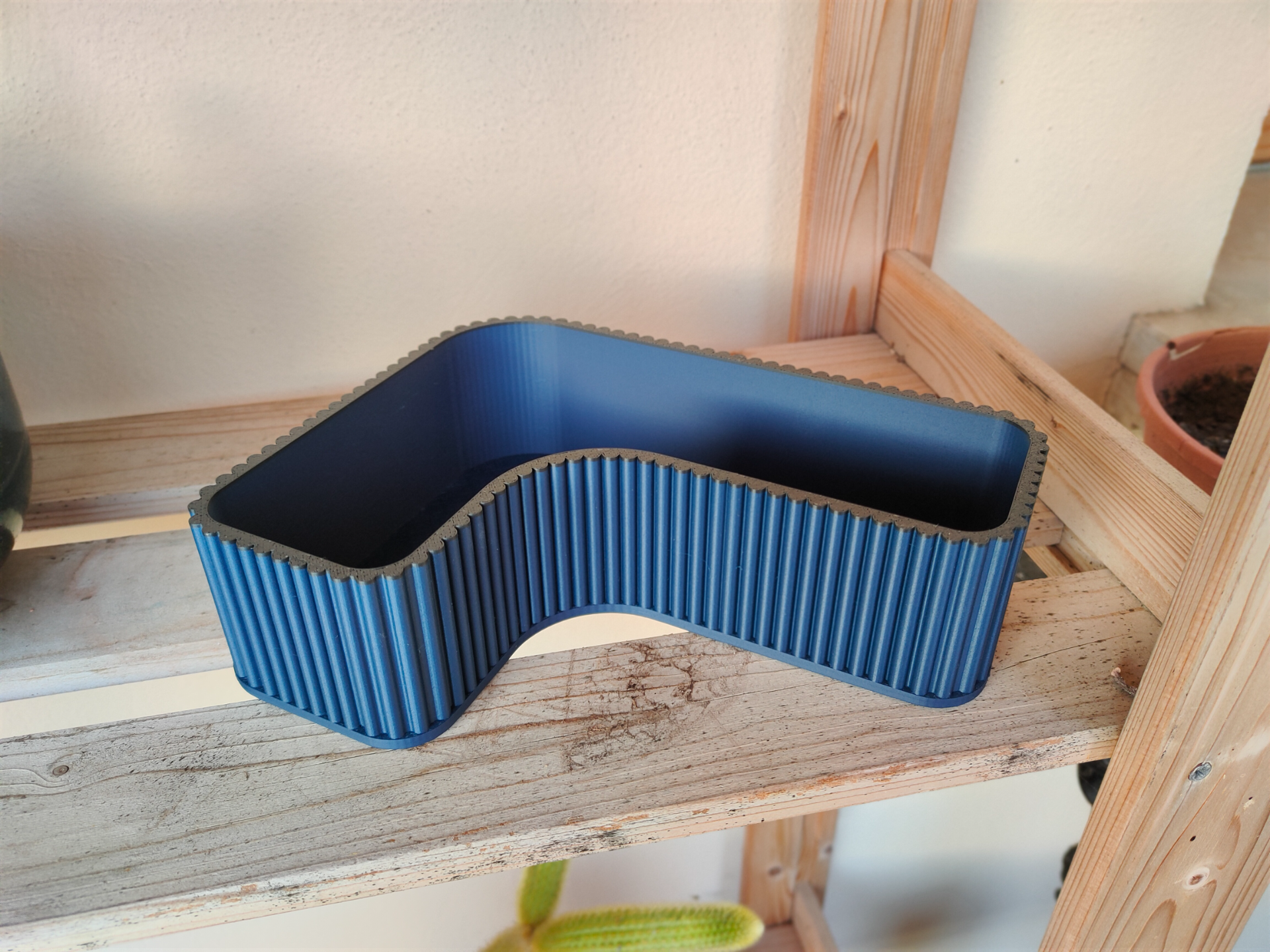 vase pianta