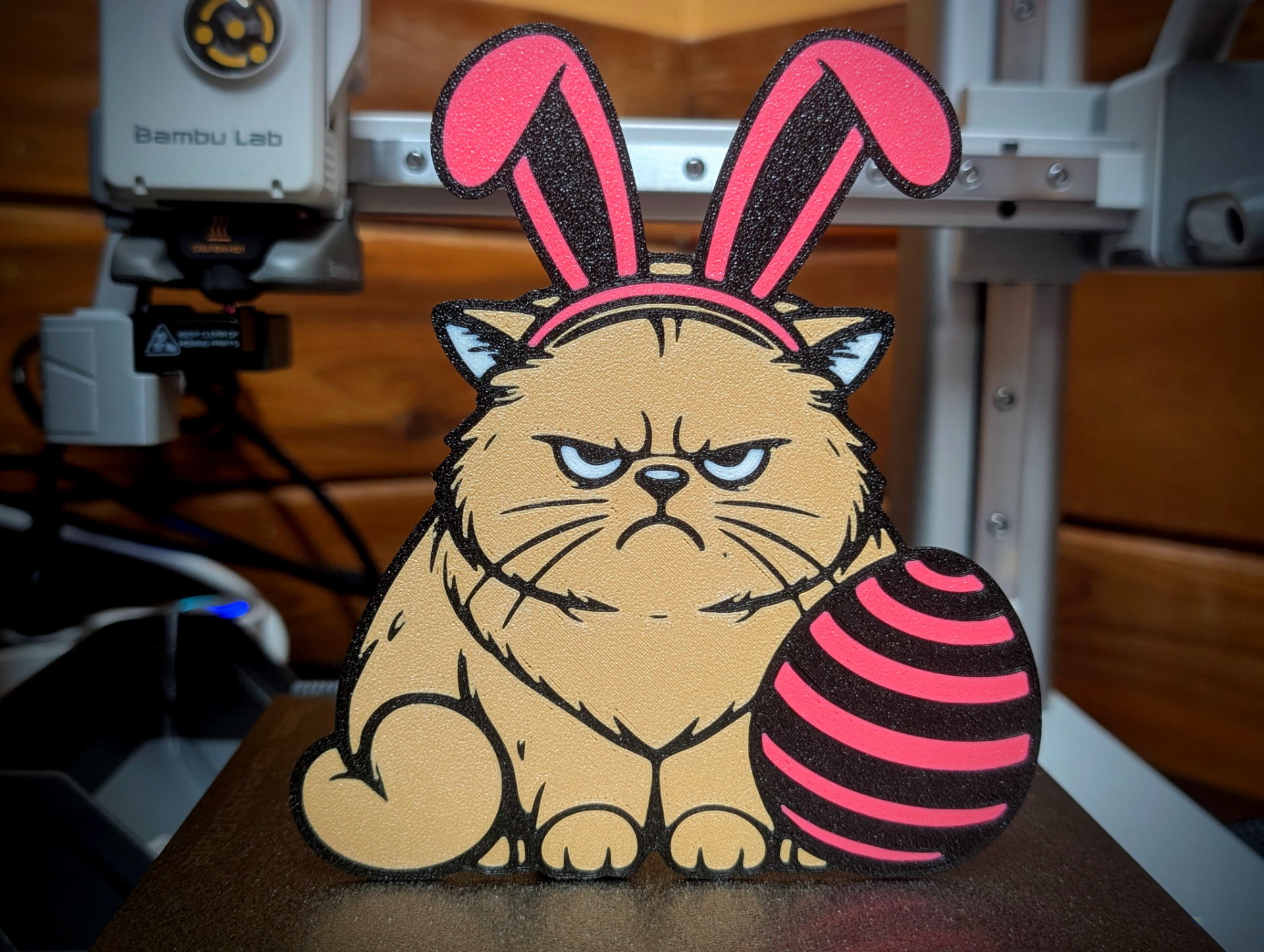 Grumpy Easter Cat