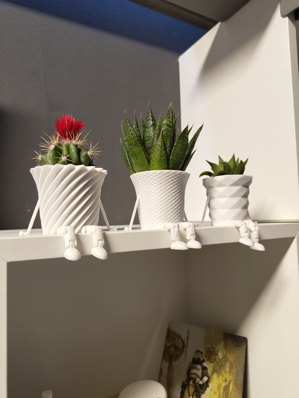 Mini Cactus family flowerpot