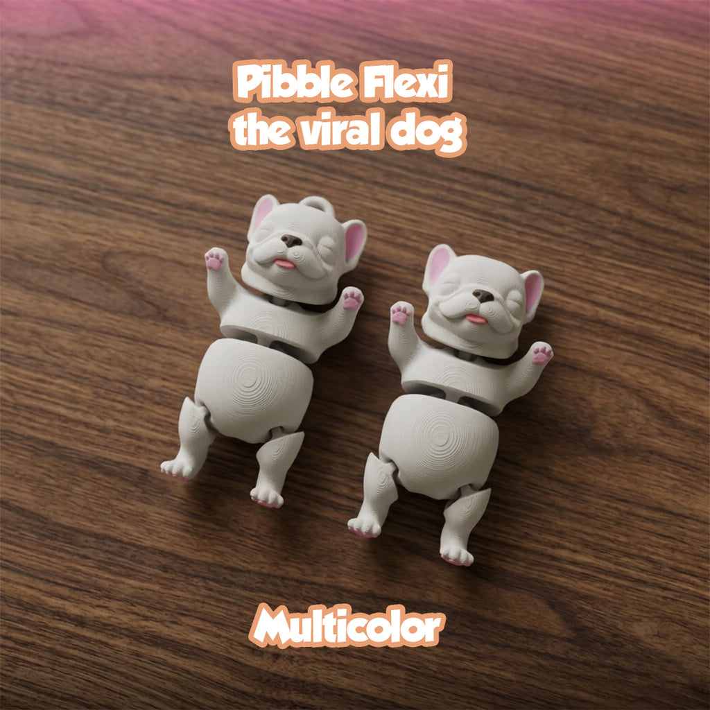 Pibble Flexi, the viral dog - Multi Color