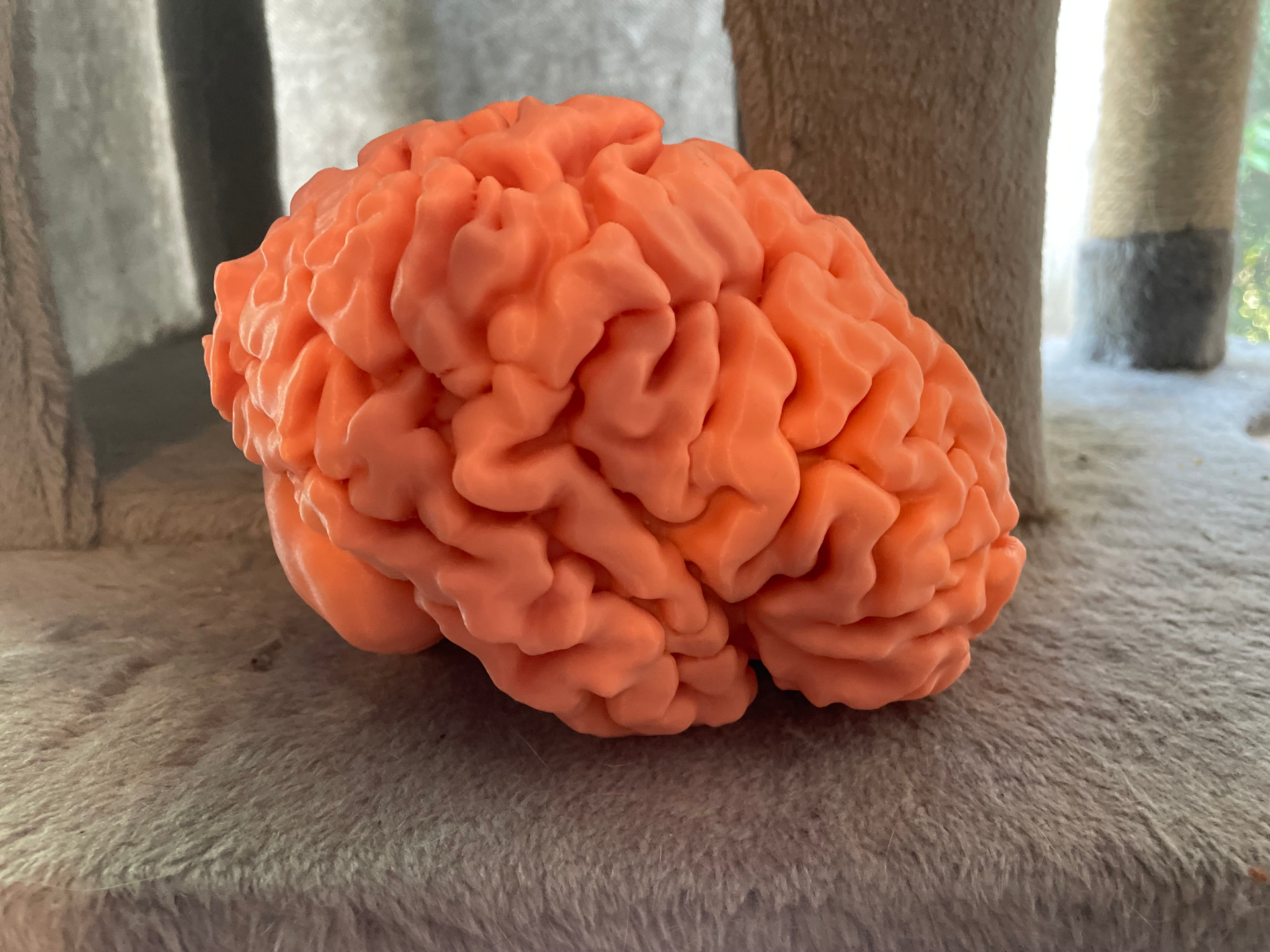 3D printable full-sized brain
