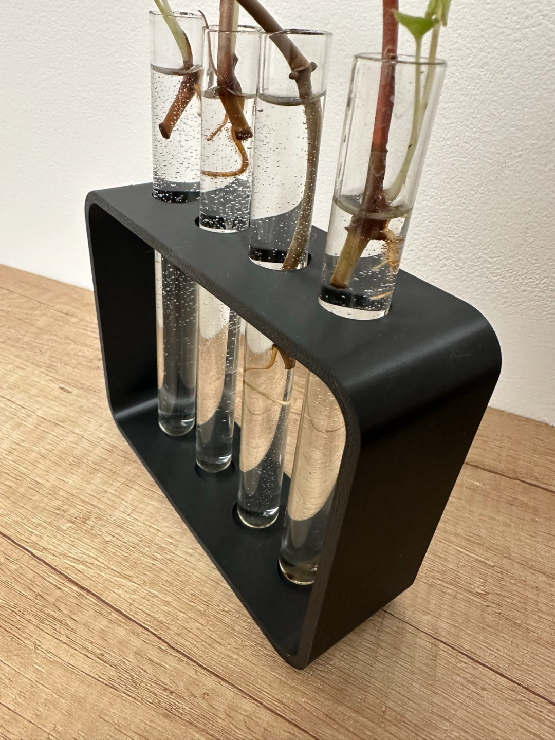 Test Tube Holder for plant propagation by cutting