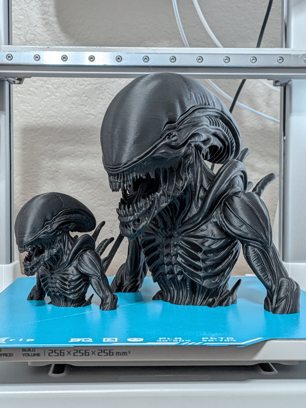 Xenomorph Alien