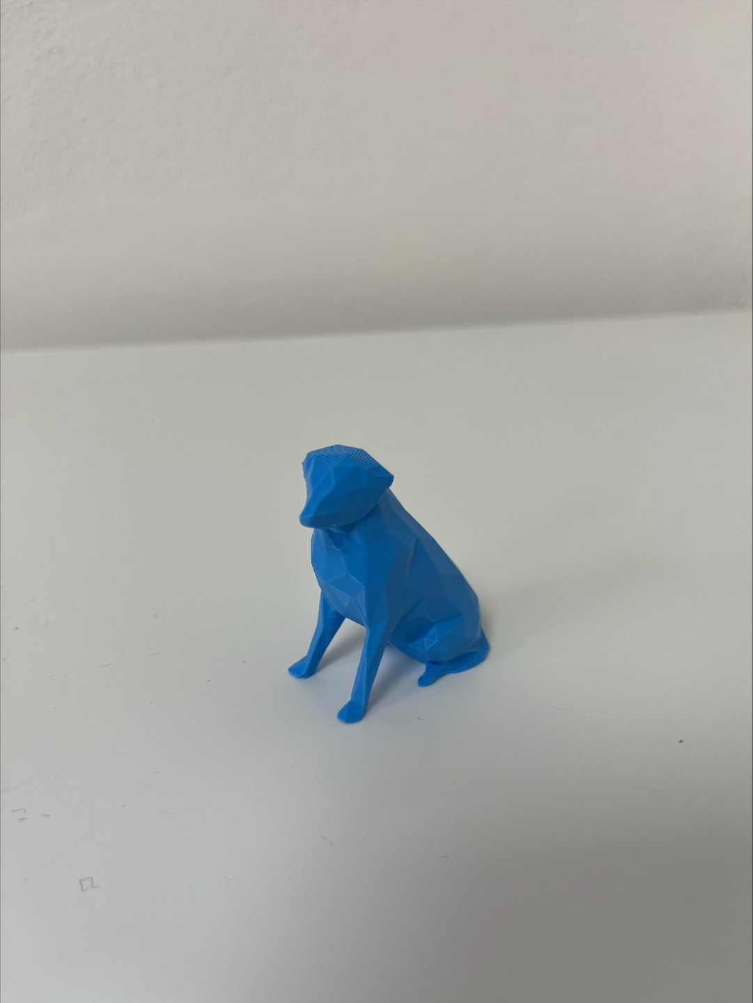 Low poly dog labrador