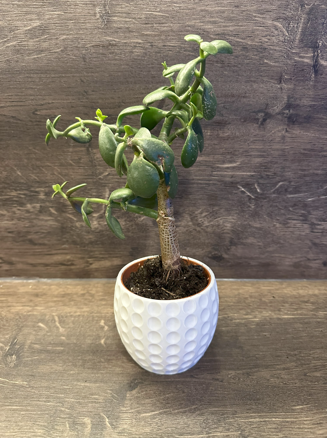 Plant Pot "Retro"