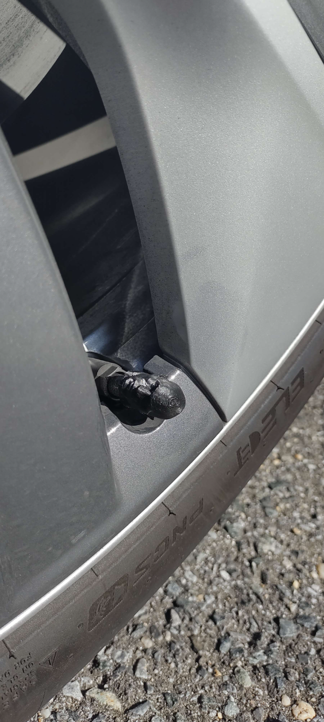 The Rock Tire Valve Stem Cap