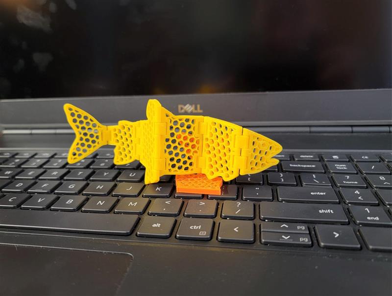 Flexi Fish - Infill Swatch
