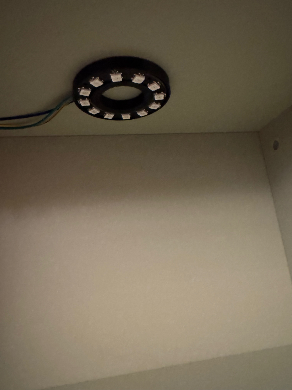12 LED ring mount
