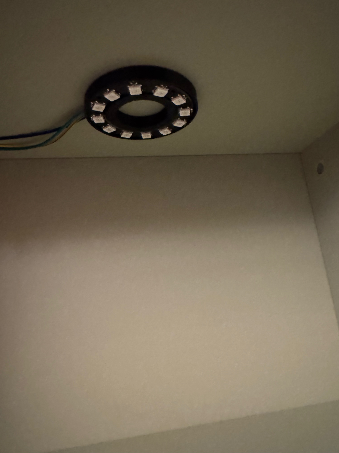12 LED ring mount