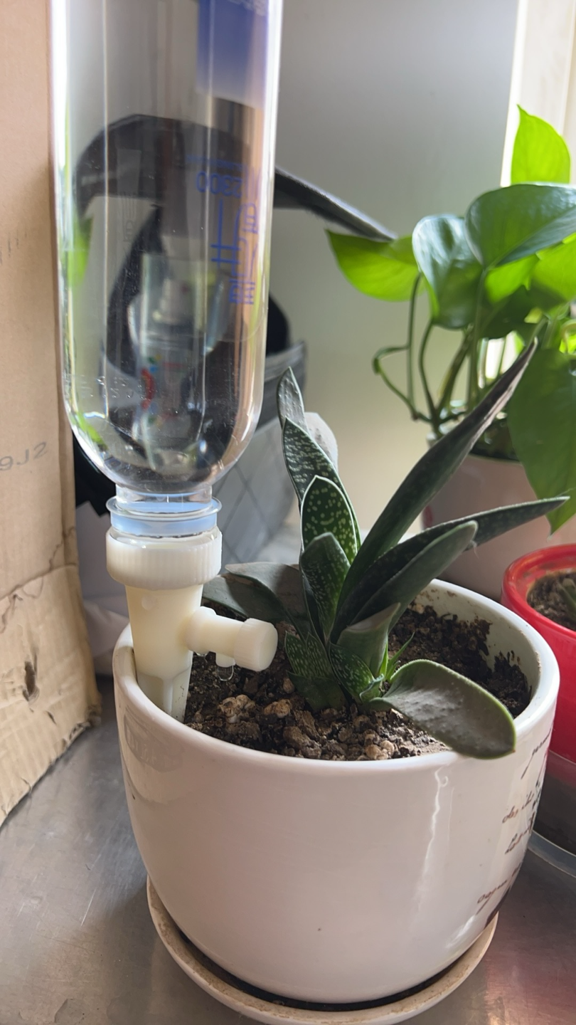 滴灌器（Drip irrigator）