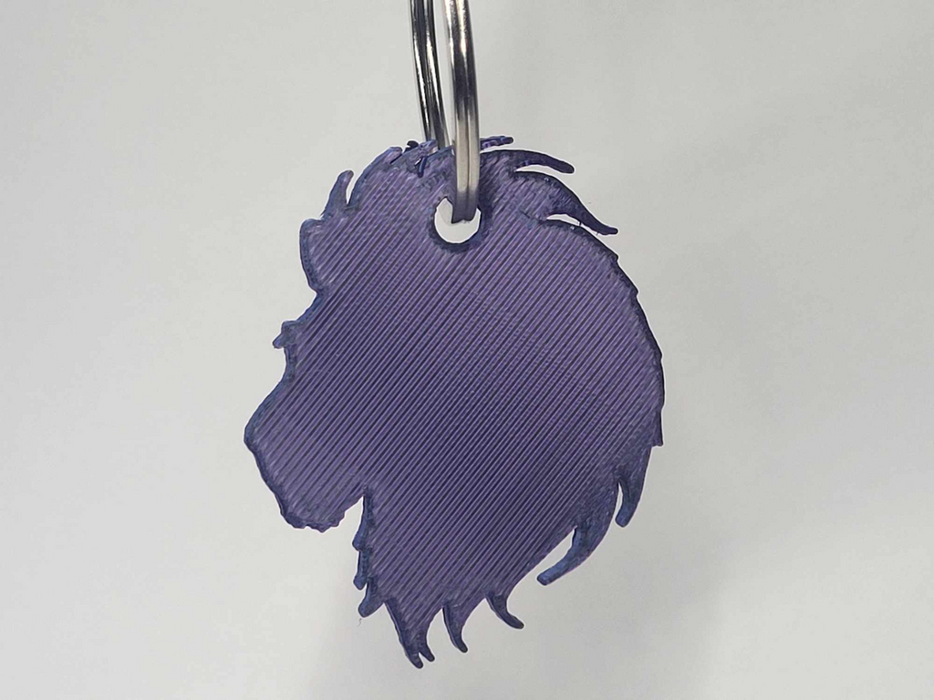 lion key chain