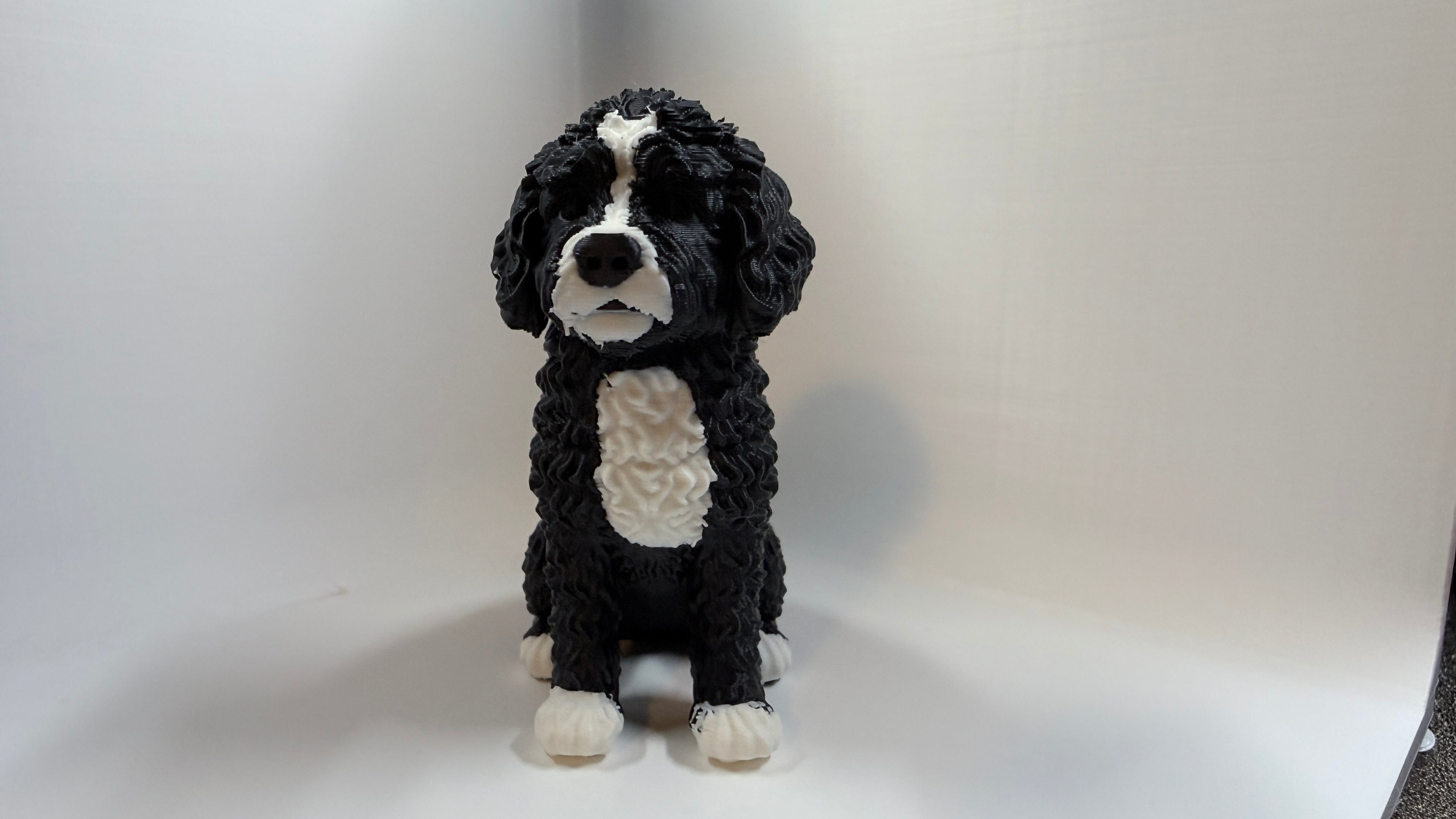 Cute Mini Bernedoodle Puppy – Easy 3D Print