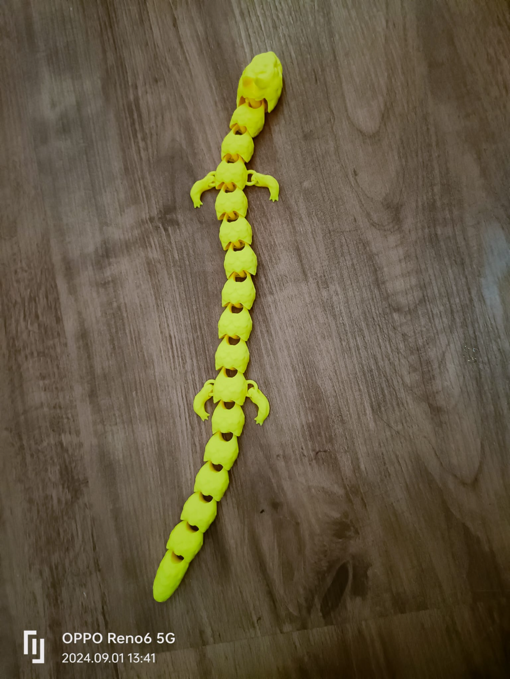 articulated dragon