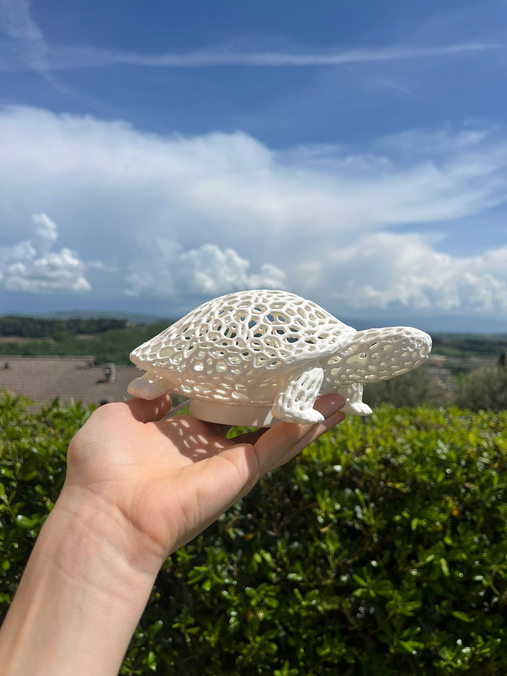 Lampada a forma di tartaruga