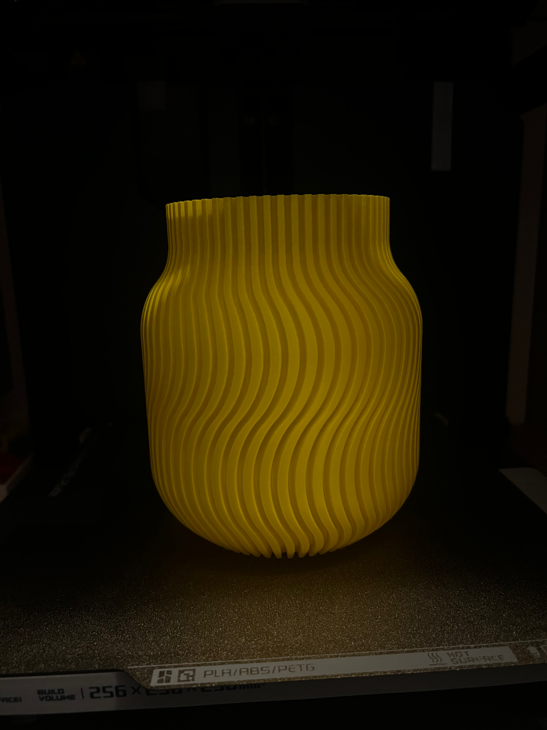 Elegant Vase (Vase Mode)