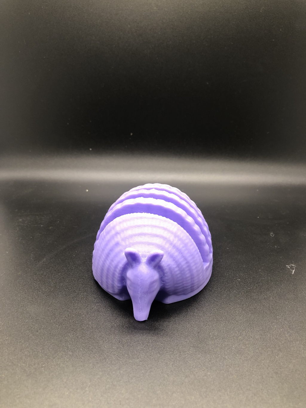 Armadillo Form Business Card Holder