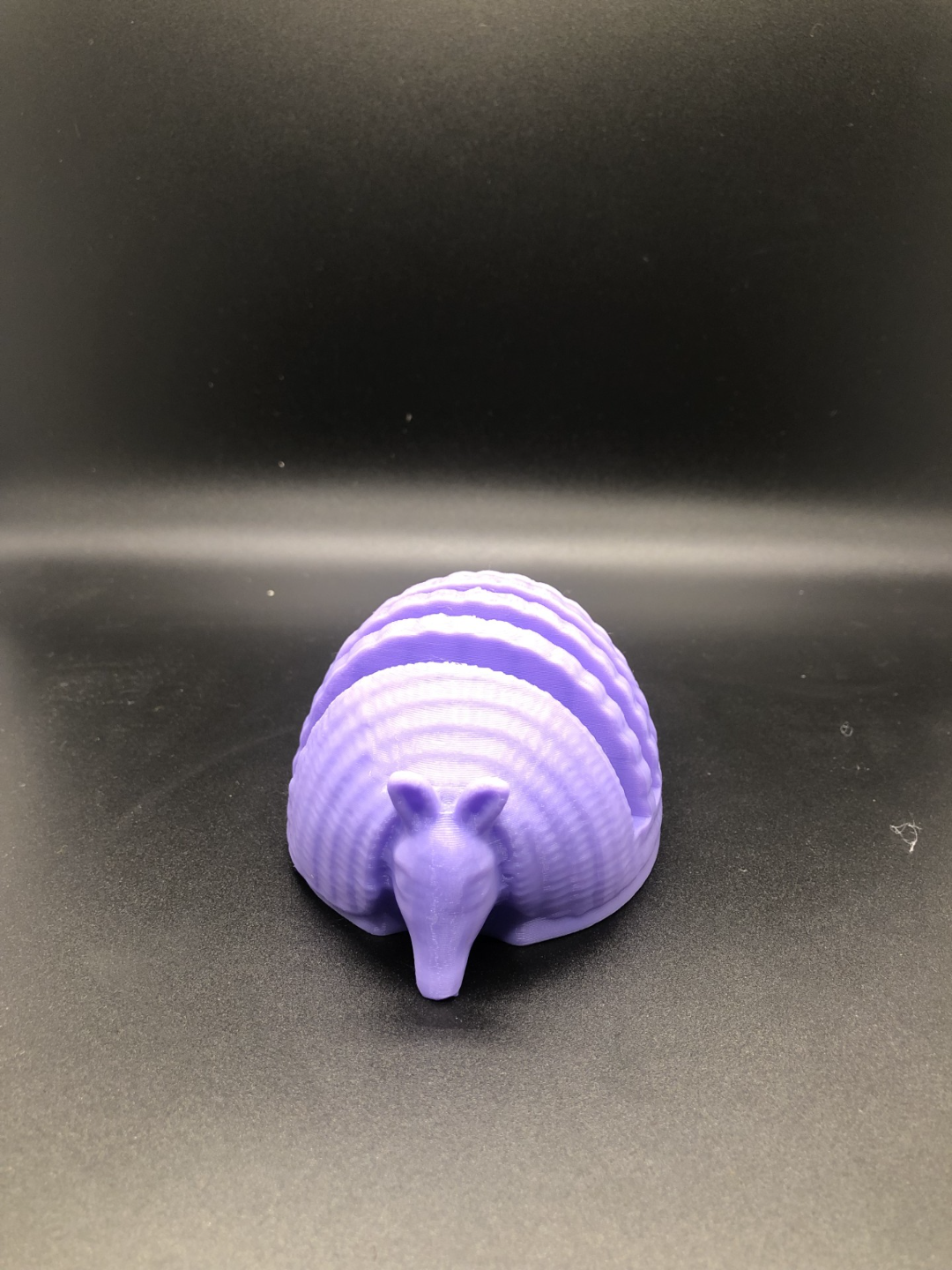 Armadillo Form Business Card Holder
