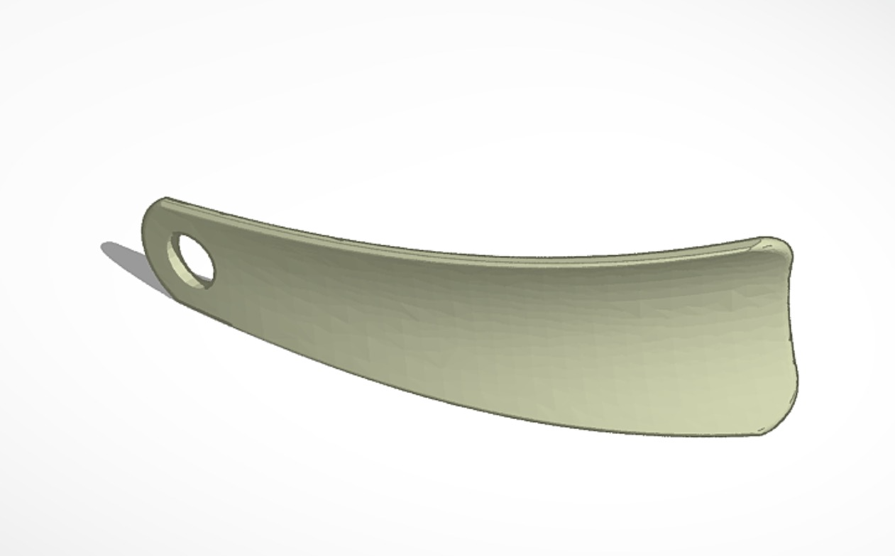 Shoe horn