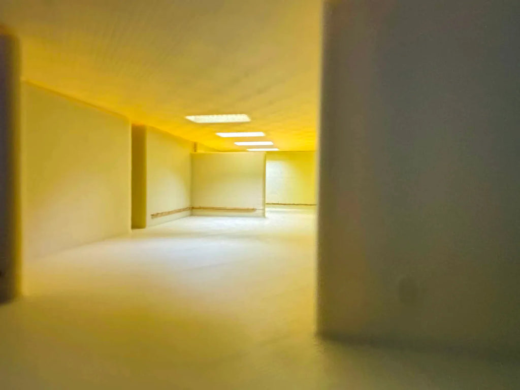 The Backrooms – Level 0 | Liminal Space Diorama