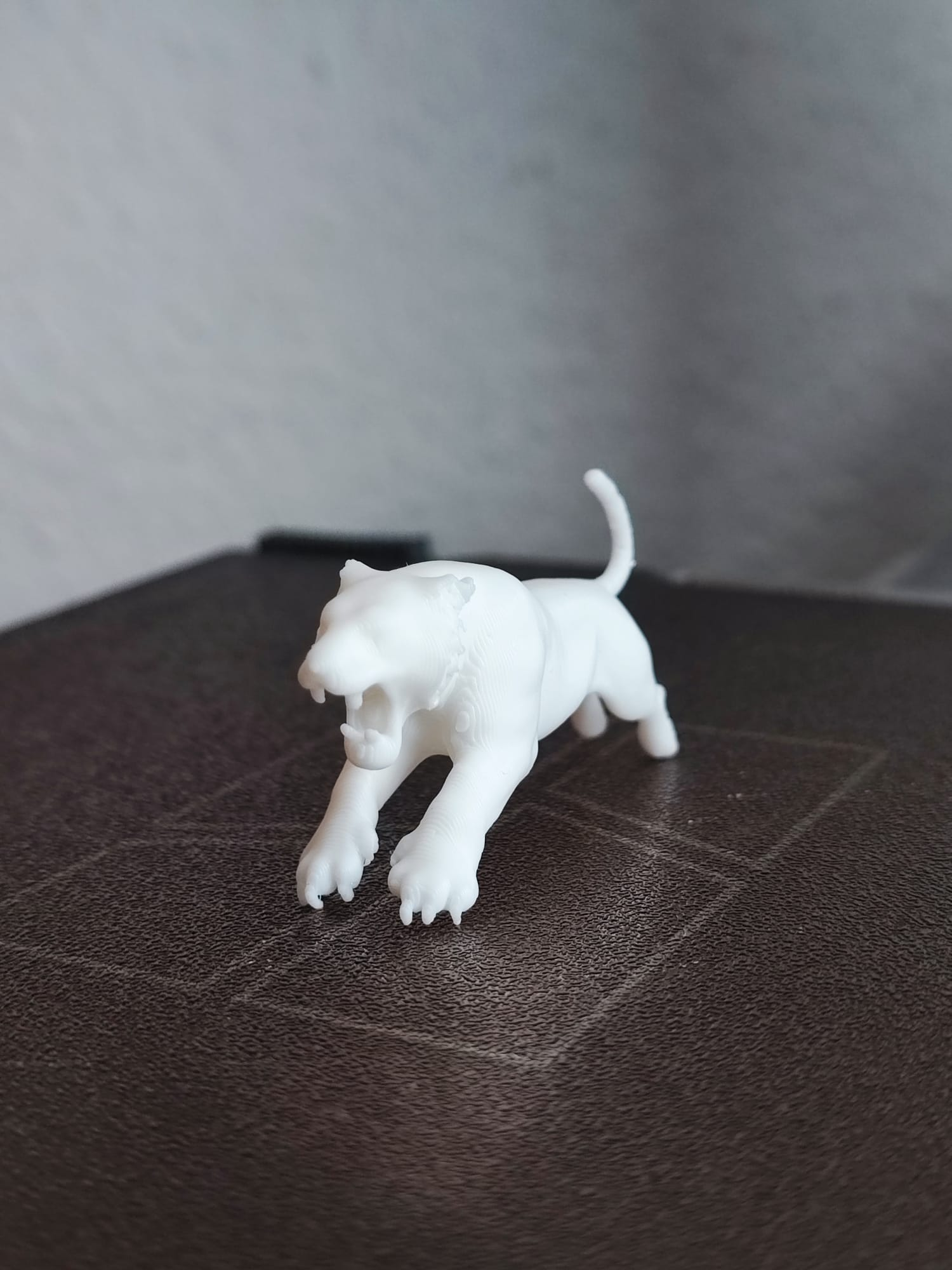 tiger