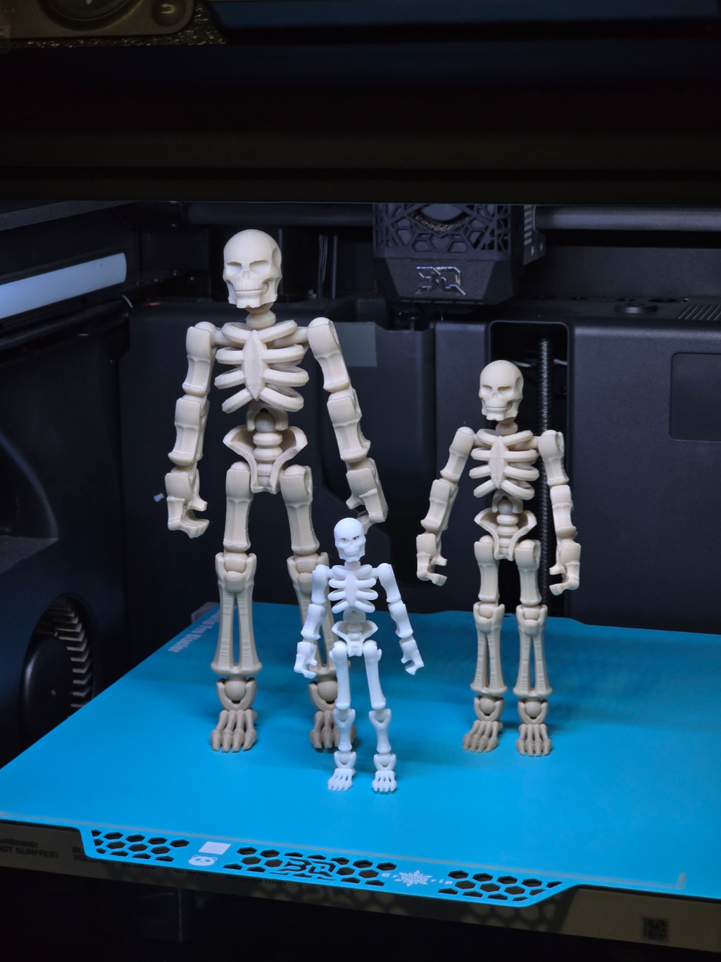 Poseable Skeleton