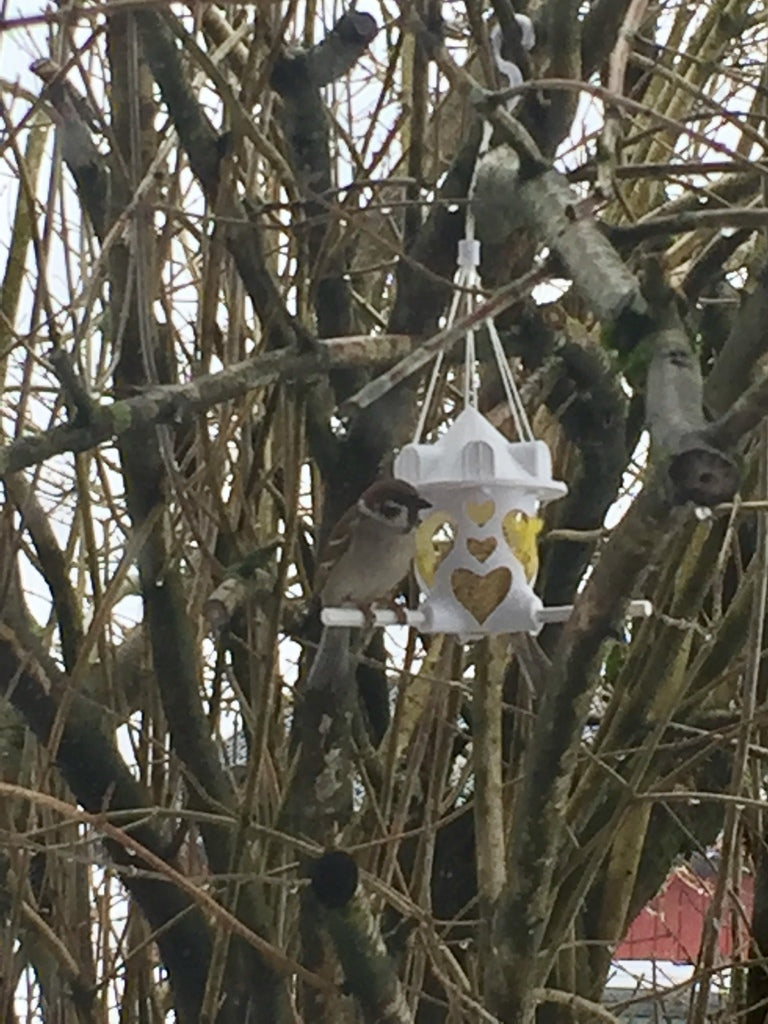 Bird Feed Fat Ball Holder addons