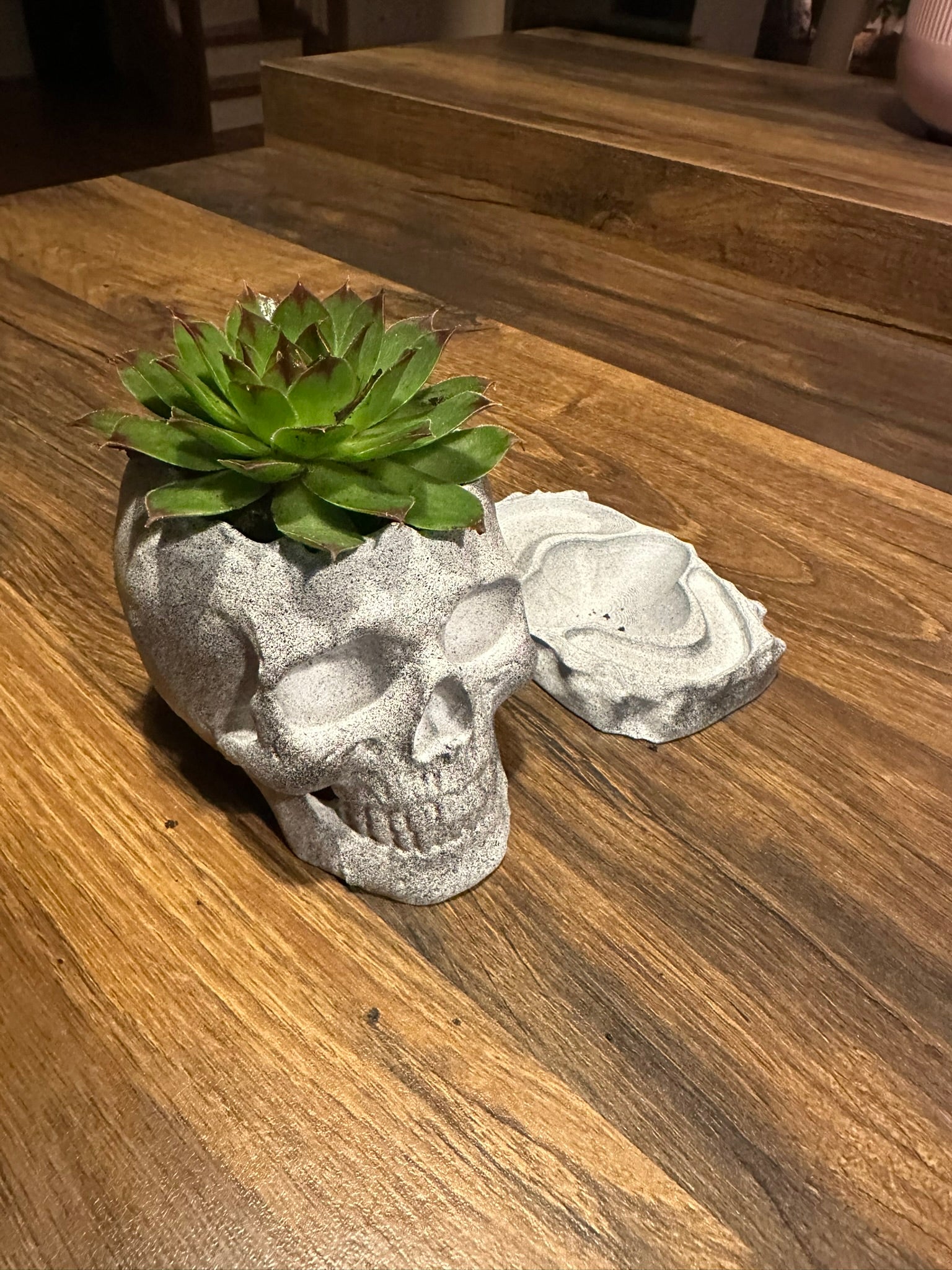 Kleiner Schädel topf mit Tropfschale, Skull Pot