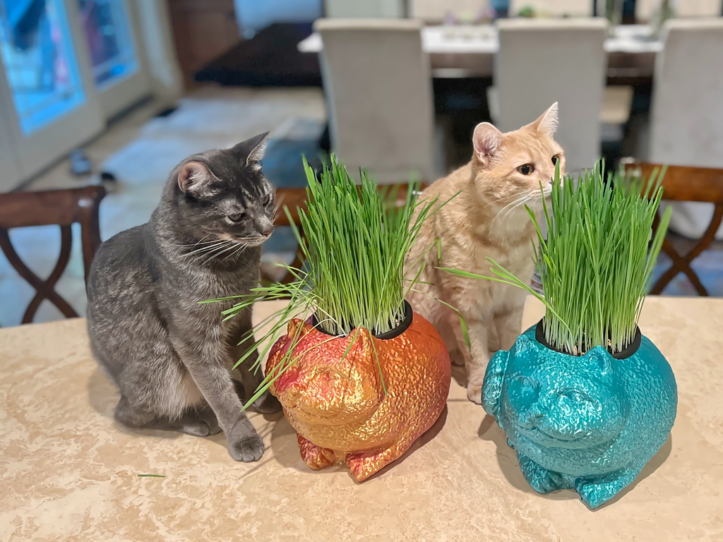 Happy Cat Self-Watering Planter