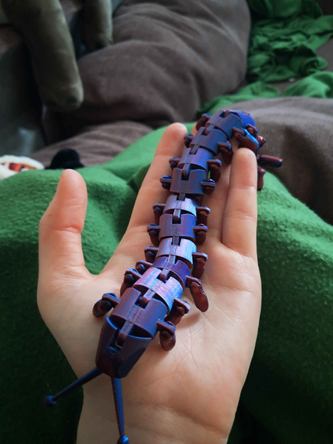 flexy Velvet worm
