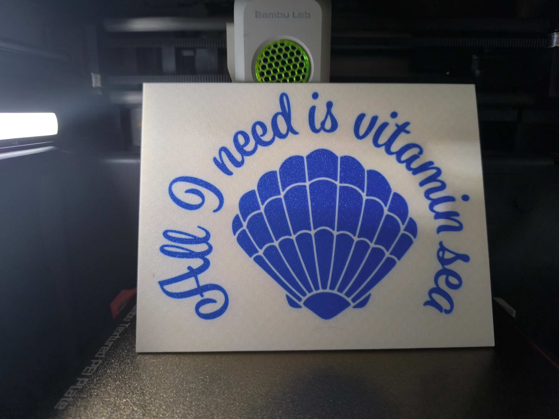 Vitamin Sea door decoration